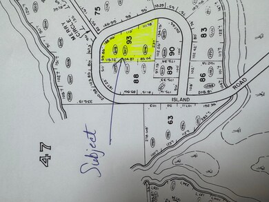 Mp46Lt2017 Island Rd, Limerick, ME 04061 - photo 4