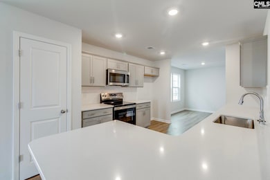 609 Clementine Run, Gilbert, SC 29054 - photo 6