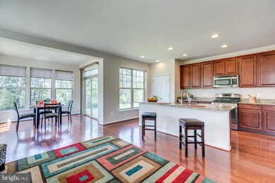 43344 Polenta Terrace, Chantilly, VA 20152 - photo 7