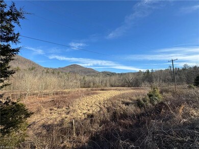 TBD N Carolina Highway 16, Moravian Falls, NC 28654 - photo 6