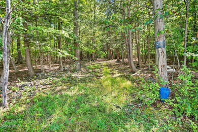 189 Sutton Rd, Cornwallville, NY 12418 - photo 7