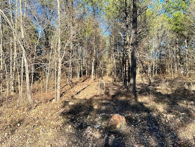 538 Lukfata Fork Trail, Broken Bow, OK 74728 - photo 4