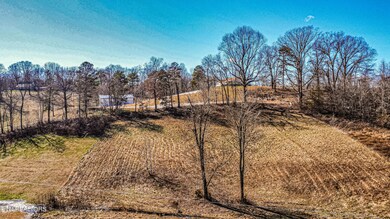 dji_fly_20240213_135726_22_1707850923775