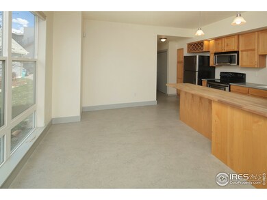 802 Heschel St unit D, Fort Collins, CO 80524 - photo 7