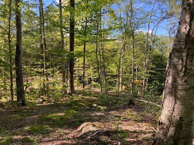 0 Old Carr Rd unit 20 4925108, Antrim, NH 03440 - photo 2