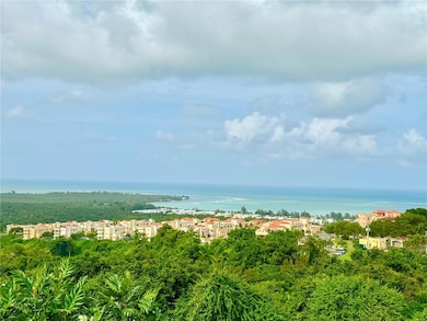 6 Costa Dorada II, Rio Grande, PR 00745 - photo 2