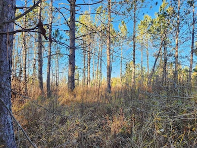 27XXX Dayton Rd, Washburn, WI 54891 - photo 2