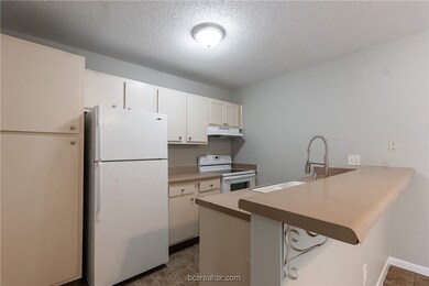 2000 Kazmeier Plaza unit 13, Bryan, TX 77802 - photo 5