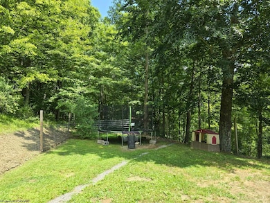 500 Talkington Fork, Center Point, WV 26339 - photo 5