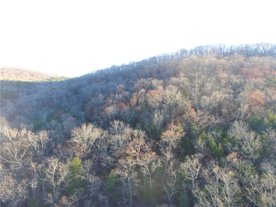 0 Ria Ln unit 1295309, Eureka Springs, AR 72631 - photo 7