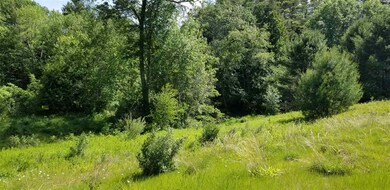 0 Battle St unit 70 4760510, Webster, NH 03303 - photo 4