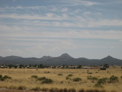 5351 A W Duane, Paulden, AZ 86334 - photo 5