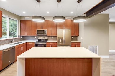 760 Goeglein Gulch Rd unit 1, Durango, CO 81301 - photo 6