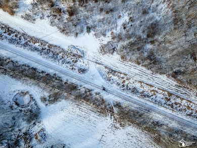 0 Wells Rd unit 50196085, Petersburg, MI 49270 - photo 5