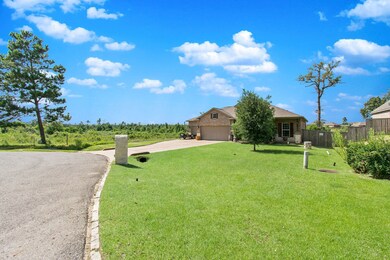 27084 Palo Pinto Trail, Magnolia, TX 77355 - photo 3