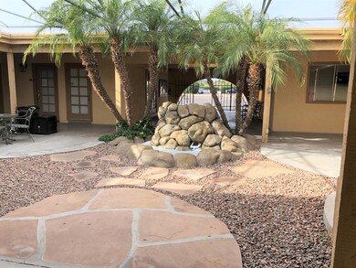 Lush Courtyard