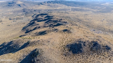 1325 Freds Mountain Rd, Reno, NV 89508 - photo 3