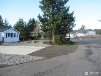 311 Sycamore Ct, Ocean Shores, WA 98569 - photo 4