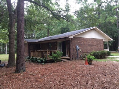 99 Shirley Street
