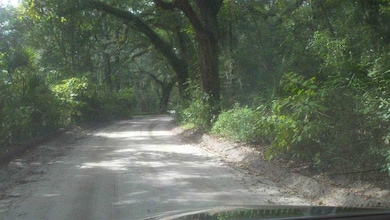 0 Carter Rd, Crawfordville, FL 32327 - photo 7