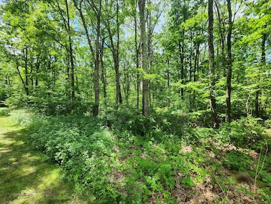 11 Old Paddock Ln, Kent, CT 06757 - photo 4