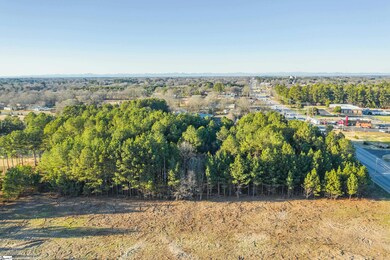 323 Tr B Pearman Dairy Rd, Piedmont, SC 29625 - photo 6