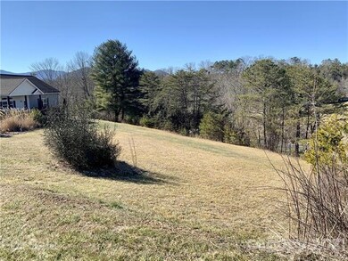 25 Alexander Ridge Dr, Leicester, NC 28748 - photo 3