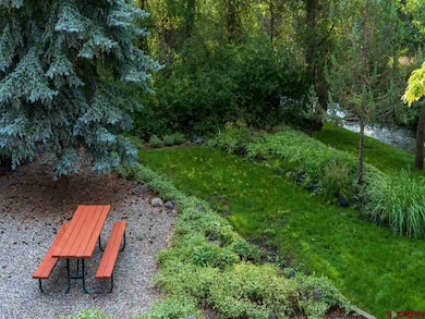 1445 SE 3rd St, Cedaredge, CO 81413 - photo 5