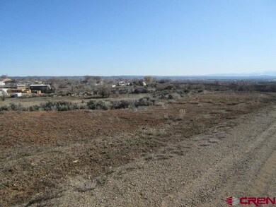 0 Road K 8 unit B 755436, Cortez, CO 81321 - photo 4