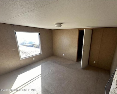 21 Road 6478, Kirtland, NM 87417 - photo 3