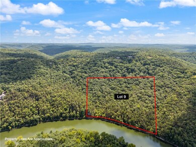 0 Cr-206 unit 1319192, Eureka Springs, AR 72632 - photo 4