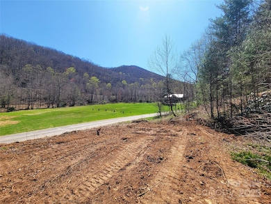 300 Shining Rock Dr unit 25, Canton, NC 28716 - photo 3