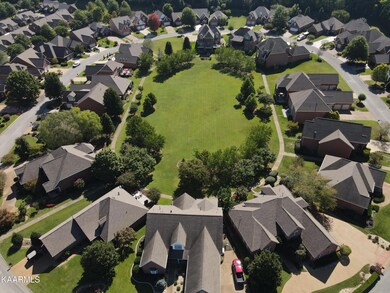 DJI_0061
