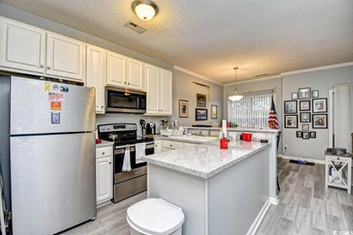 4811 Innisbrook Ct unit 306, Myrtle Beach, SC 29579 - photo 6