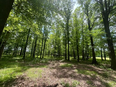 IMG_9285