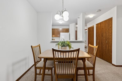 7622 York Ave S unit 1209, Edina, MN 55435 - photo 5