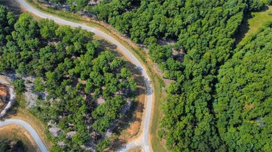 LT 84 Ridge Dr, Morganton, GA 30560 - photo 4