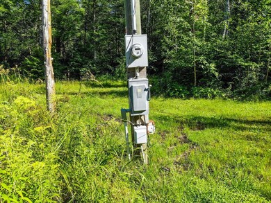 10033 Hwy 86, Tomahawk, WI 54487 - photo 7