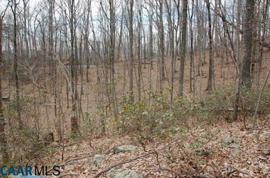 291 Wood House Ln, Nellysford, VA 22958 - photo 4