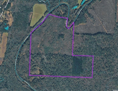 TBD Cherry St, Tull, AR 72015 - photo 2