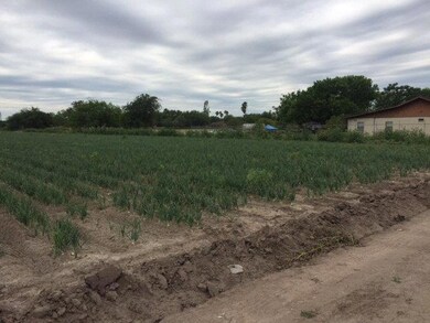 000 E Nebraska Rd, Alamo, TX 78516 - photo 5