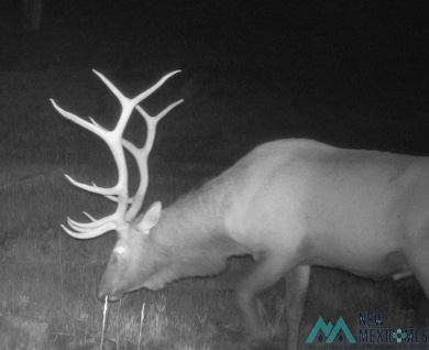 000 Ice Caves Rd, Grants, NM 87020 - photo 2