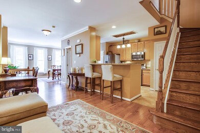 20875 Cosworth Terrace, Sterling, VA 20165 - photo 7