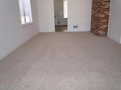 DR Carpet 2