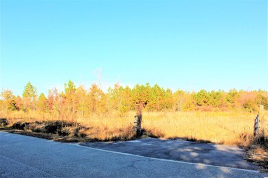 000 Samuel Rd unit 3769 E Highway 9 Bus, Loris, SC 29569 - photo 7