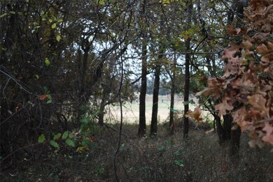 31008 Doe Run Ct, Whitney, TX 76692 - photo 3