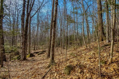 0 Spruce unit Lot 9 4948918, Wolfeboro, NH 03894 - photo 6