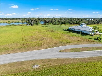 22821 Yellow Button Ln, Alva, FL 33920 - photo 4
