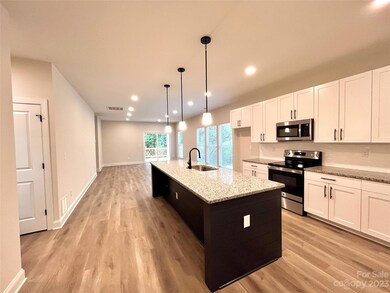 230 Chestnut Ln, Statesville, NC 28625 - photo 2