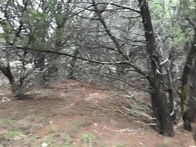 40091 Cedarcrest Dr, Whitney, TX 76692 - photo 5